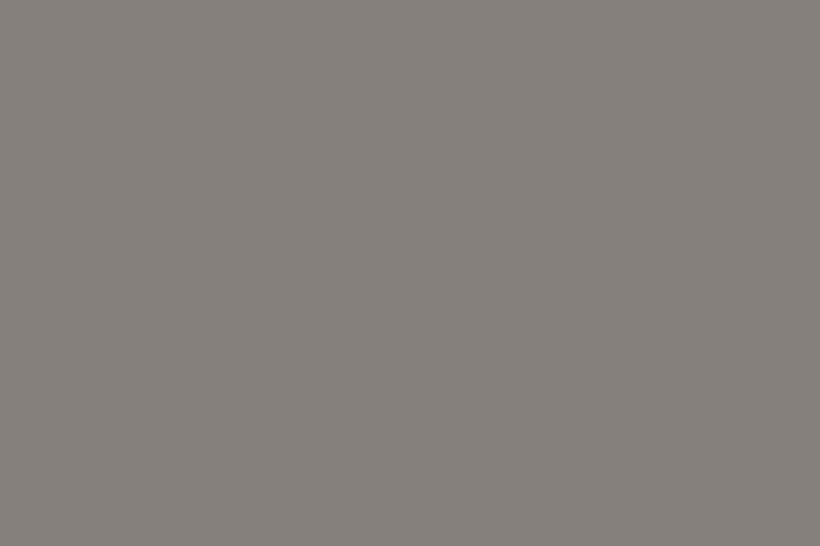 Superior Seamless Background Paper #43 Dove Grey